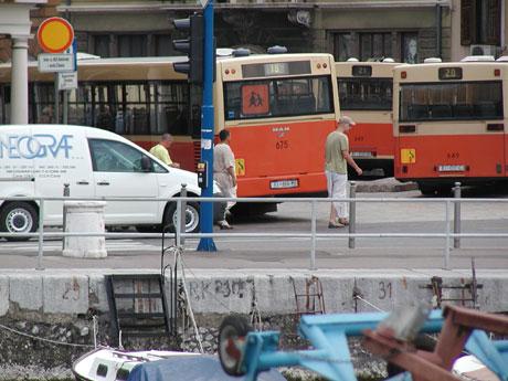 Ratha-yatra 2005 3