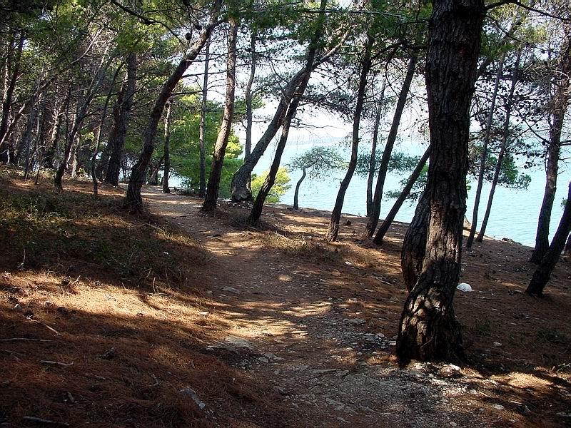 Kamp Premantura 2001. 105