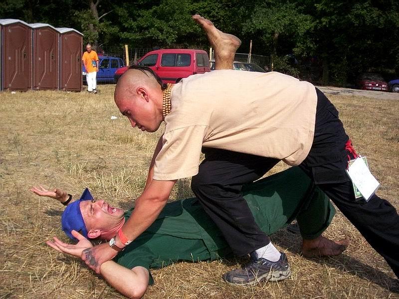 Woodstock 2006. - Poljska 114