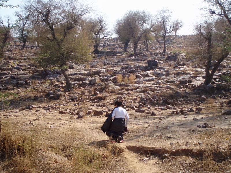 Govardhana Retreat 2006 3