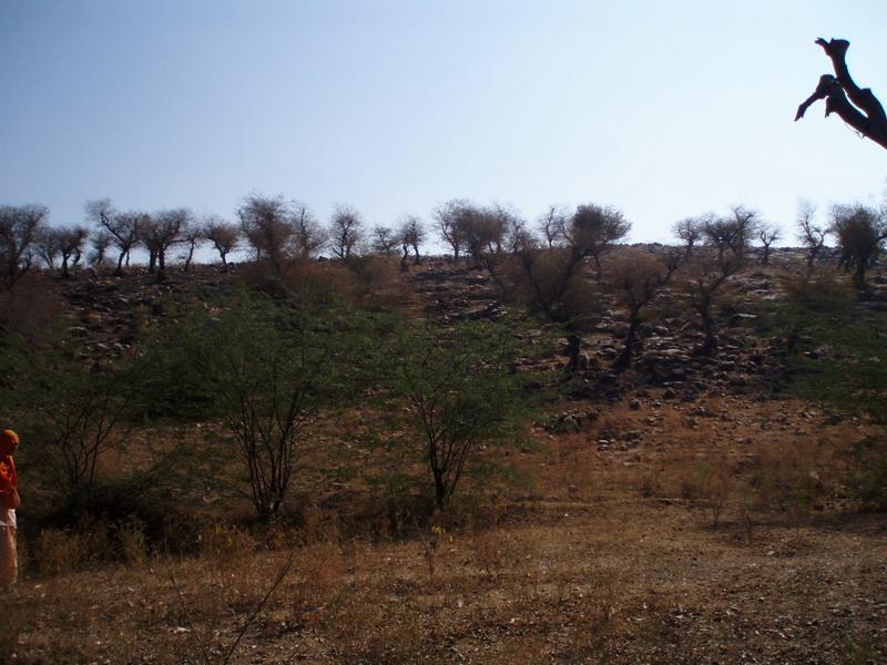 Govardhana Retreat 2006 11