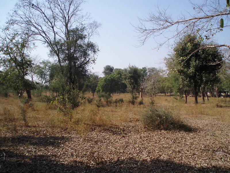 Govardhana Retreat 2006 13
