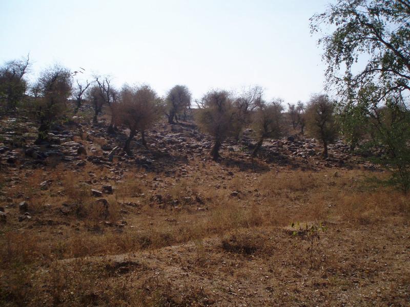 Govardhana Retreat 2006 16