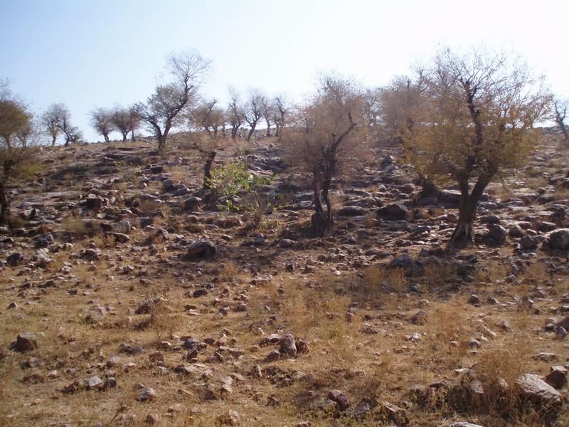 Govardhana Retreat 2006 17