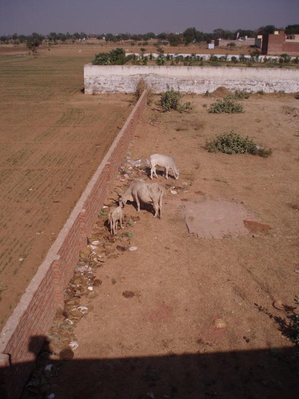 Govardhana Retreat 2006 22