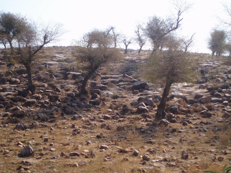 Govardhana Retreat 2006 41
