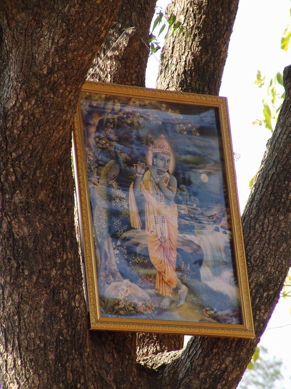 Govardhana Retreat 2006 13