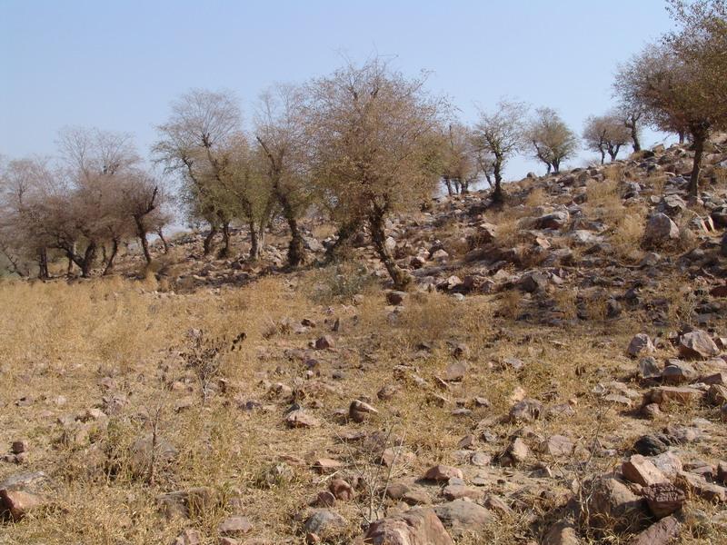 Govardhana Retreat 2006 25