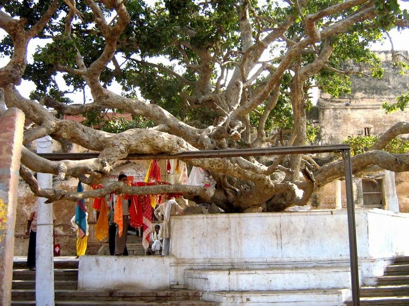 56 Vrindavan Chira Ghat