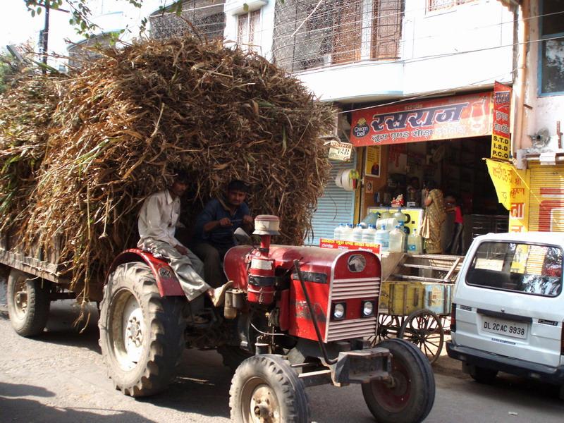 38 Vrindavan