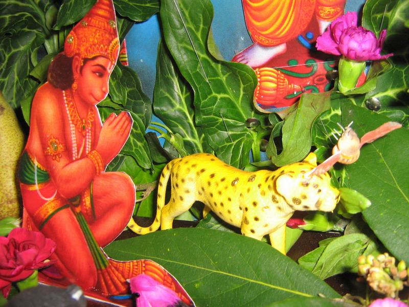 Split - Rama Navami 2007 8