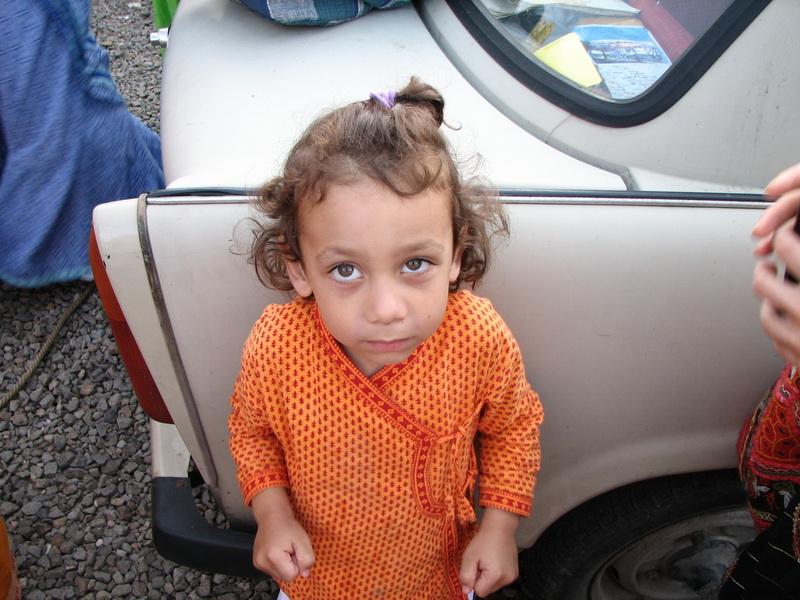 0850 fruska gora 2007