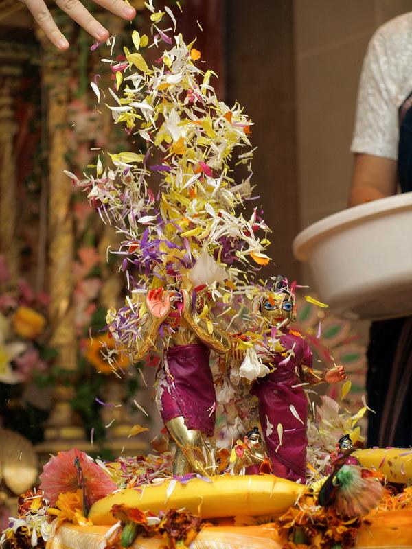 Radhastami 1