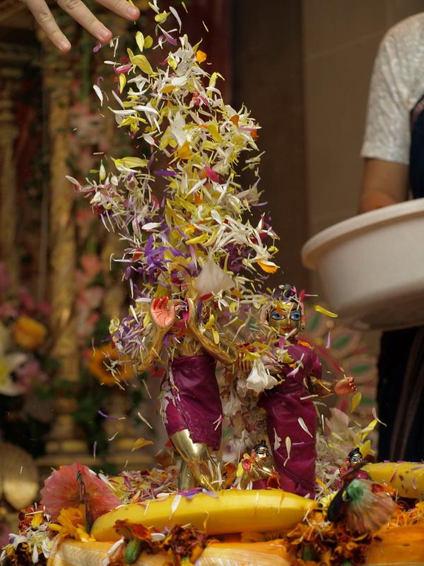 Radhastami 12