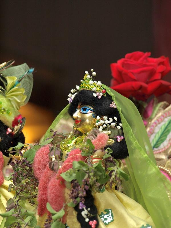 Radhastami 16