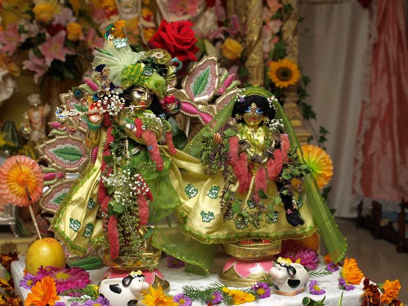 Radhastami 18