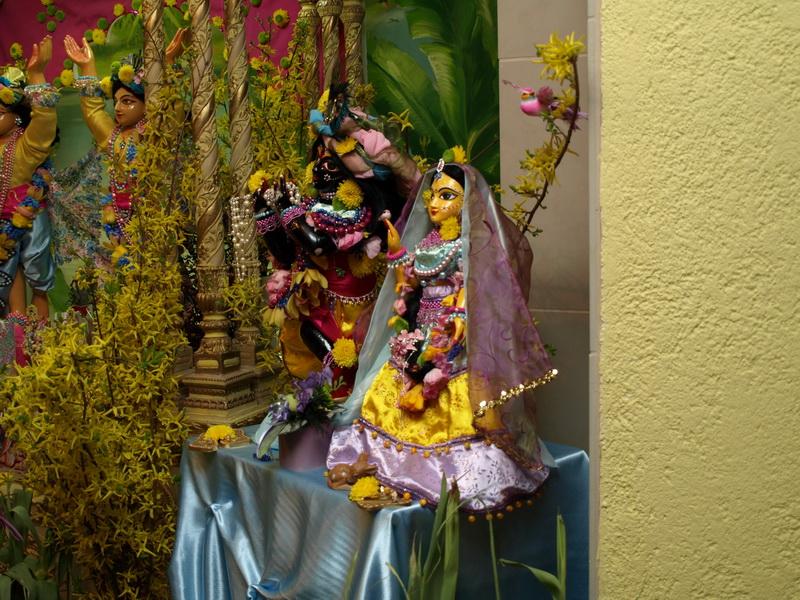 Jay Gauranga 97