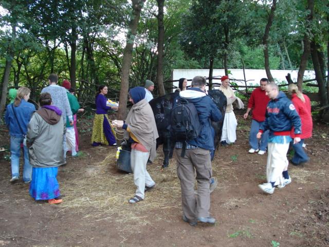 Govardhana Puja, Go Puja 3