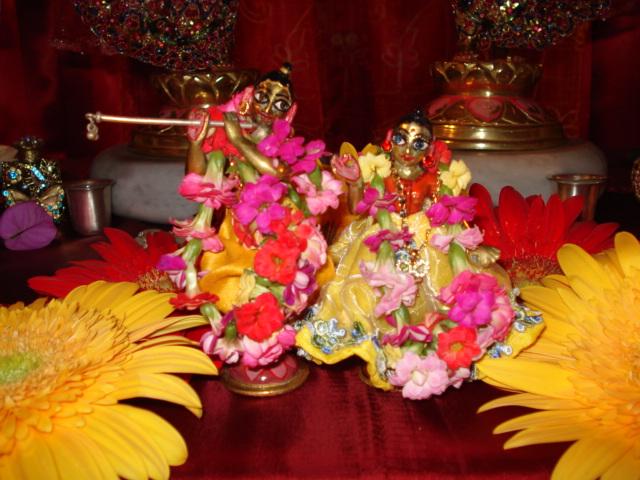 Govardhana Puja, Go Puja 36