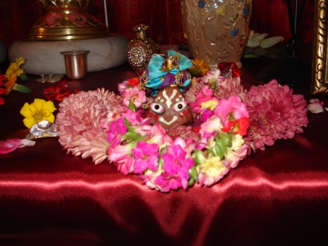 Govardhana Puja, Go Puja 39