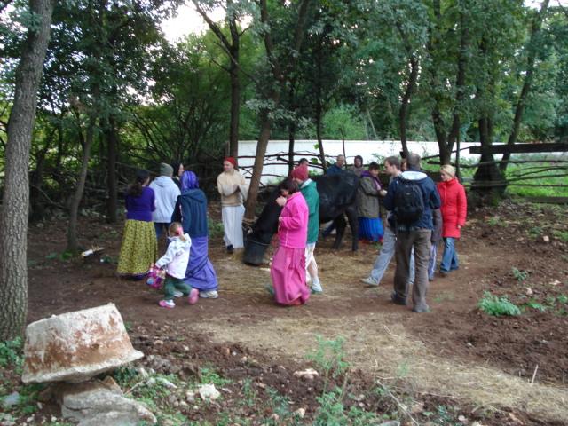 Govardhana Puja, Go Puja 38