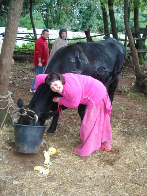 Govardhana Puja, Go Puja 39