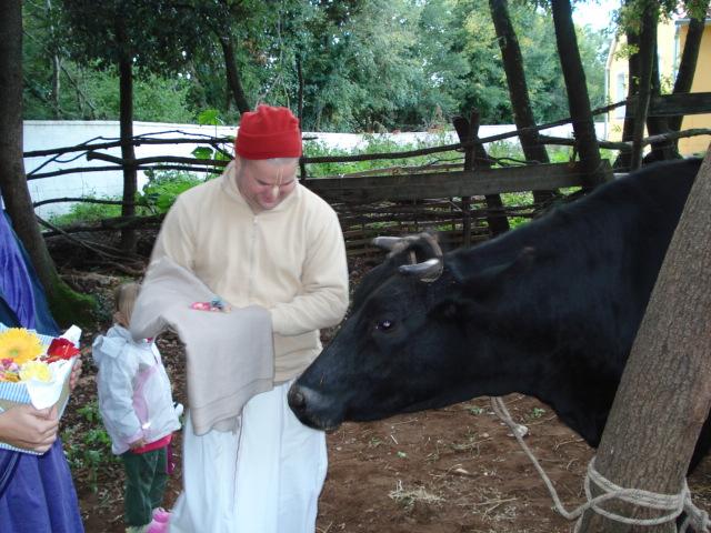Govardhana Puja, Go Puja 48