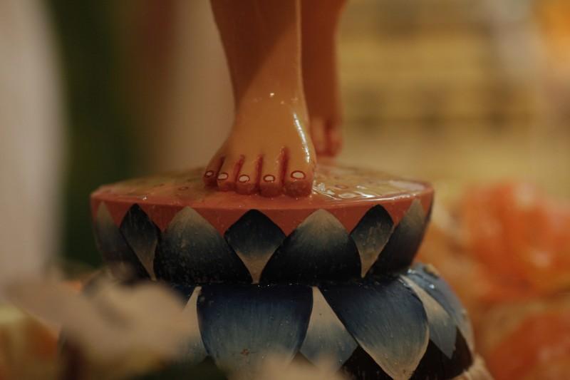 HH Sacinandana Swami's Vyasa Puja- Zagreb 2011. 31
